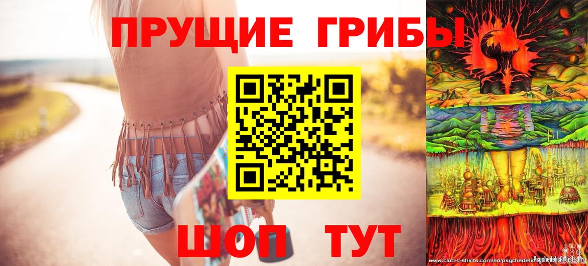Галлюциногенные грибы Psilocybe Добрянка